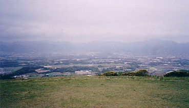 onitake