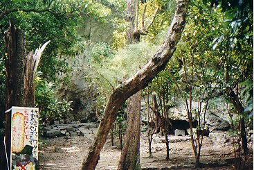 utaki2