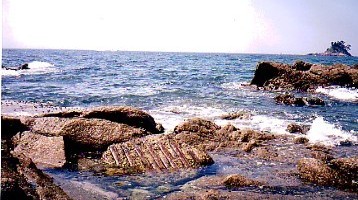 kujira
