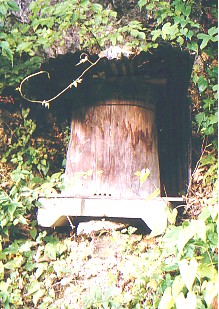 siiba