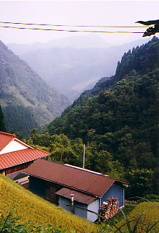 siiba2