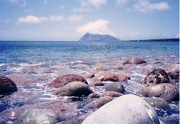 tamaisi