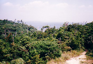 usitori