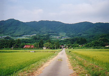 izu