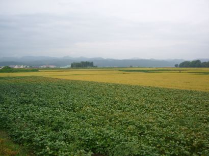 picture