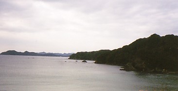 09