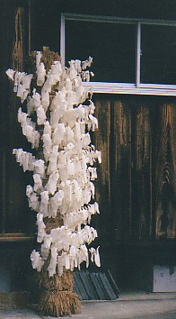 36
