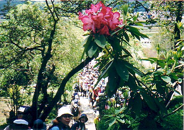 yaita-kurobane3.jpg