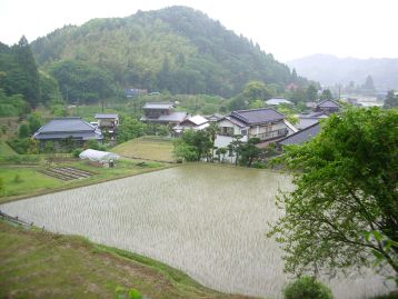 IMGP0805.JPG
