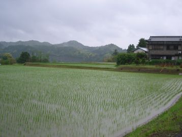 IMGP0807.JPG