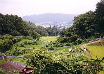 akame