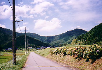 ichinokai
