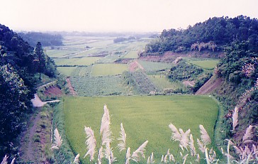 oita