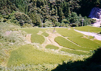 tanada