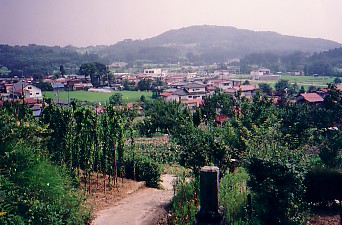 tochigi