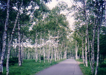 yatugatake