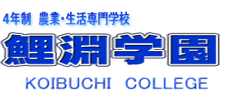 w