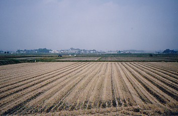 tochigi