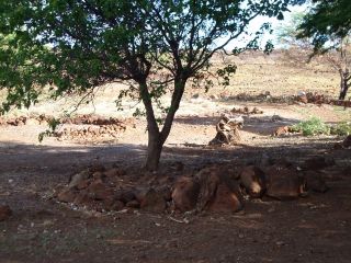 heiau
