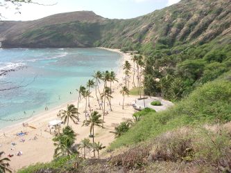 hanauma