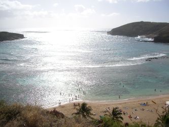 hanauma