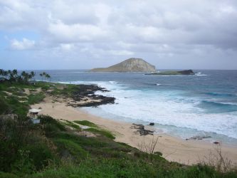 hanauma