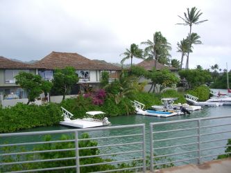 hanauma