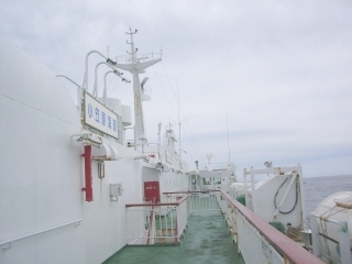 funatabi