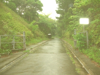 hahajima